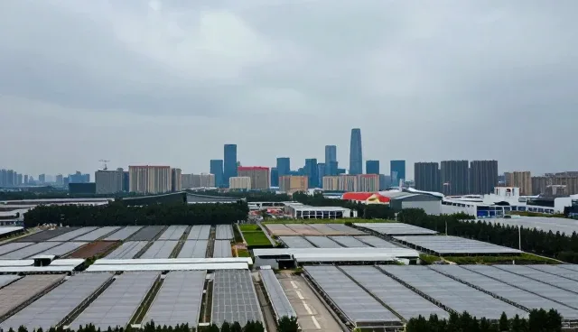 内容分发中的拍摄策略：如何提升文案创作效果