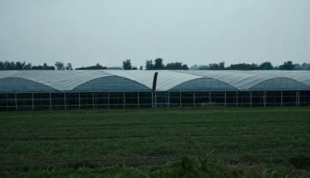 传播方案在场景应用中的选型与使用建议